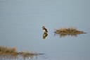 BUITEN BEELD Foto: 54459