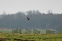 BUITEN BEELD Foto: 54465