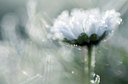BUITEN BEELD Foto: 54493