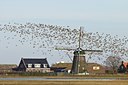 BUITEN BEELD Foto: 54505