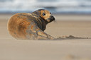 BUITEN BEELD Foto: 54545
