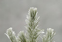 BUITEN BEELD Foto: 54605
