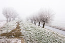 BUITEN BEELD Foto: 54633