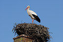 BUITEN BEELD Foto: 54674