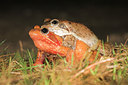 BUITEN BEELD Foto: 54719