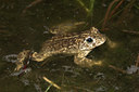 BUITEN BEELD Foto: 54738