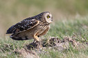 BUITEN BEELD Foto: 54774