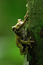 BUITEN BEELD Foto: 54880