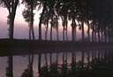 BUITEN BEELD Foto: 54932
