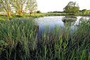 BUITEN BEELD Foto: 55019