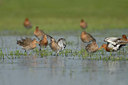 BUITEN BEELD Foto: 55036