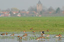 BUITEN BEELD Foto: 55051