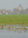 BUITEN BEELD Foto: 55052