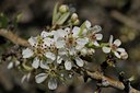 BUITEN BEELD Foto: 55198