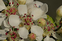 BUITEN BEELD Foto: 55199