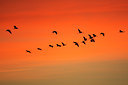 BUITEN BEELD Foto: 55212