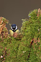 BUITEN BEELD Foto: 55220