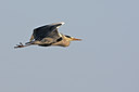 BUITEN BEELD Foto: 55227