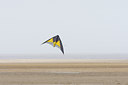 BUITEN BEELD Foto: 55309