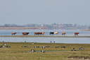 BUITEN BEELD Foto: 55359