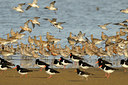 BUITEN BEELD Foto: 55362