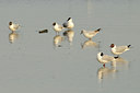 BUITEN BEELD Foto: 55374
