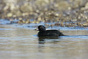 BUITEN BEELD Foto: 55395
