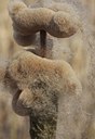 BUITEN BEELD Foto: 55421