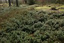 BUITEN BEELD Foto: 55476