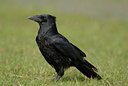BUITEN BEELD Foto: 55487