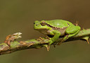BUITEN BEELD Foto: 55515