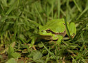 BUITEN BEELD Foto: 55517