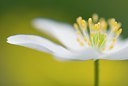 BUITEN BEELD Foto: 55638