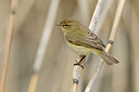 BUITEN BEELD Foto: 55644