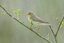 BUITEN BEELD Foto: 55648