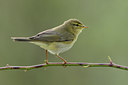 BUITEN BEELD Foto: 55650
