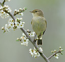 BUITEN BEELD Foto: 55656