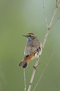 BUITEN BEELD Foto: 55673