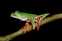 BUITEN BEELD Foto: 55722