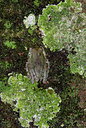 BUITEN BEELD Foto: 55724