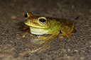 BUITEN BEELD Foto: 55726