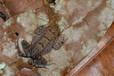 BUITEN BEELD Foto: 55729