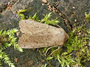 BUITEN BEELD Foto: 55734