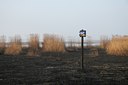 BUITEN BEELD Foto: 55774