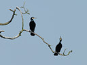 BUITEN BEELD Foto: 55873
