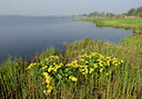 BUITEN BEELD Foto: 55892