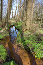 BUITEN BEELD Foto: 55946