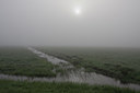 BUITEN BEELD Foto: 55966