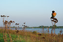 BUITEN BEELD Foto: 55991