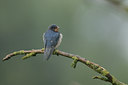 BUITEN BEELD Foto: 56016